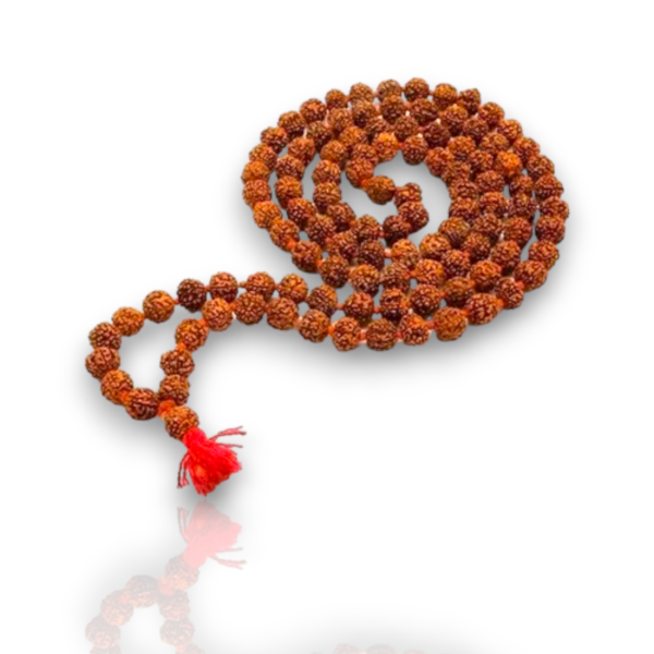 Japa Mala Rudraksha Origen India